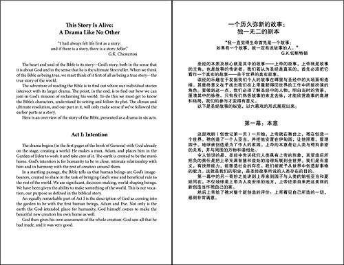 CUV (Simplified Script), NIV, Chinese/English Bilingual Bible, Hardcover, Black (Chinese Edition)