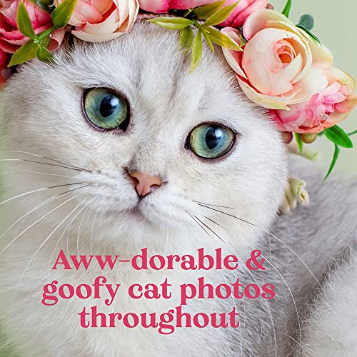 Oh. It's You.: Love Poems by Cats
