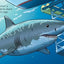 Good Night Sharks (Good Night Our World)