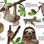 Masters of Disguise: Camouflaging Creatures & Magnificent Mimics