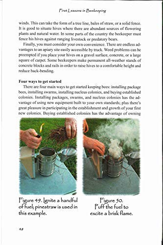 First Lessons in Beekeeping