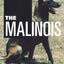The Malinois