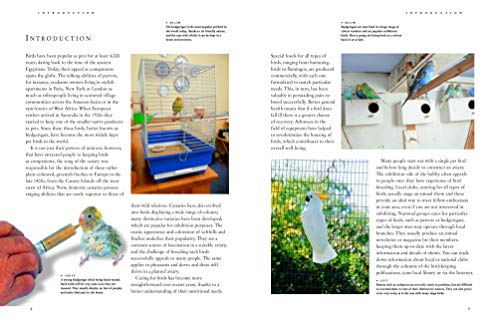 The Complete Practical Guide to Pet and Aviary Birds: How to Keep Pet Birds: with Expert Advice on Buying, Housing, Feeding, Handling, Breeding and Exhibiting
