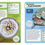 Sharks and Other Deadly Ocean Creatures Visual Encyclopedia (DK Children's Visual Encyclopedias)