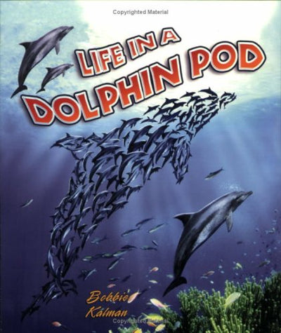 Life in a Dolphin Pod (Dolphin Worlds)