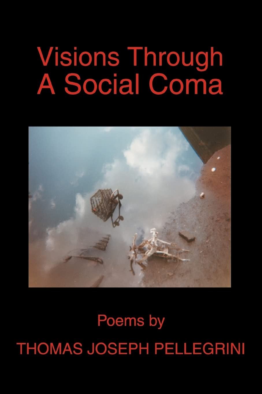 VISIONS THROUGH A SOCIAL COMA