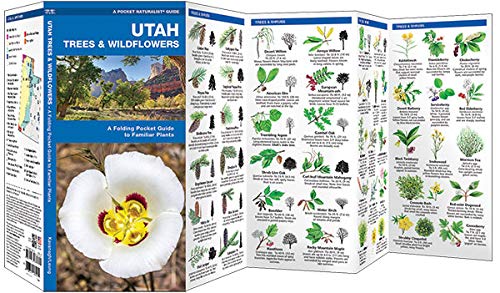 Utah Trees & Wildflowers: A Folding Pocket Guide to Familiar Plants (Wildlife and Nature Identification)