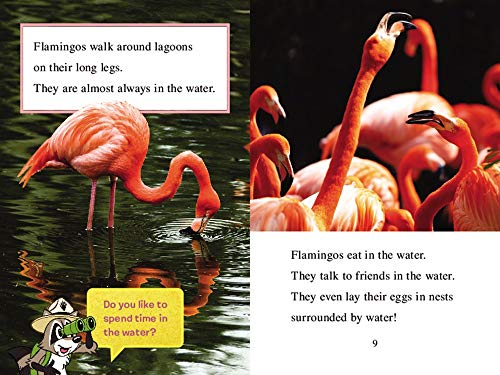 Ranger Rick: I Wish I Was a Flamingo (I Can Read Level 1)