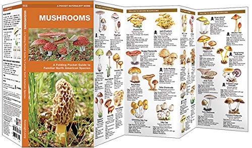 Mushrooms: A Folding Pocket Guide to Familiar North American