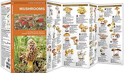 Mushrooms: A Folding Pocket Guide to Familiar North American