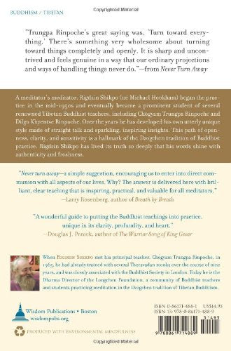 Never Turn Away: The Buddhist Path Beyond Hope and Fear