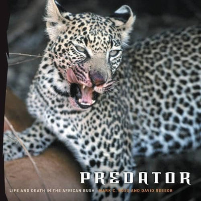 Predator: Life and Death in the African Bush
