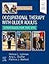Occupational Therapy with Older Adults: Strategies for the OTA