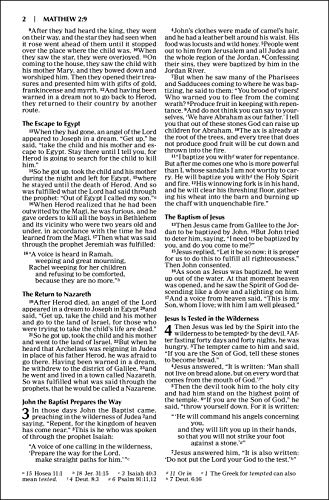 Outreach New Testament: New International Version, Green Forest Path