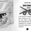 Ghouls Just Want to Have Fun (10) (Desmond Cole Ghost Patrol)
