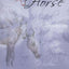Touched by a Horse: Whispers from a Horses Heart by Melisa P