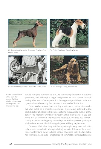 Solving the Mysteries of Breed Type (CompanionHouse Books) A Full Course in Purebred Dogs for Breeders, Dog Show Judges, and Dog Owners - Eliminate Confusion, Understand Silhouette, Movement, and More