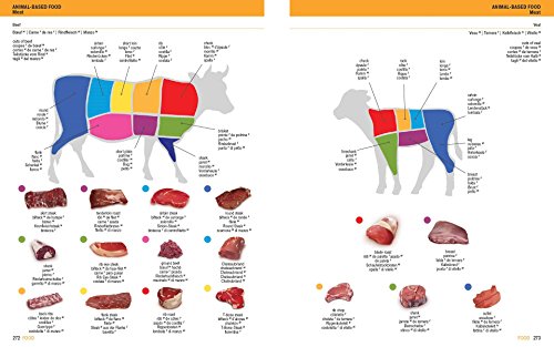 Firefly 5 Language Visual Dictionary: English, French, German, Italian, Spanish