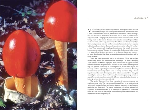 Appalachian Mushrooms: A Field Guide