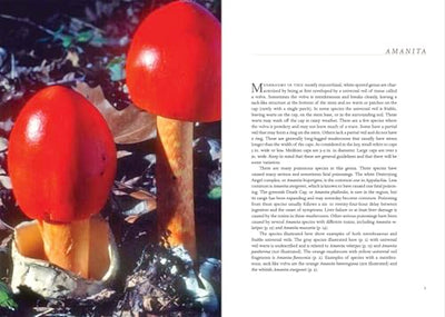 Appalachian Mushrooms: A Field Guide