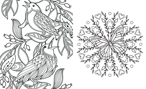 Posh Glitter Coloring Book Secret Garden by Andrews McMeel P