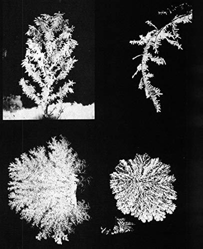 Snow Crystals (Dover Pictorial Archive)