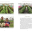 The Lean Farm Guide to Growing Vegetables: More In-Depth Lean Techniques for Efficient Organic Production