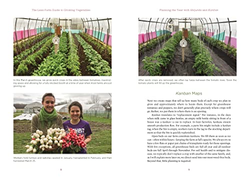The Lean Farm Guide to Growing Vegetables: More In-Depth Lean Techniques for Efficient Organic Production