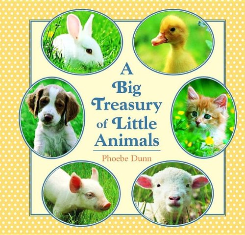Big Treasury of Little Animals by Dunn, Phoebe