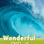 Oxford Read and Discover: Level 3: 600-Word VocabularyWonderful Water