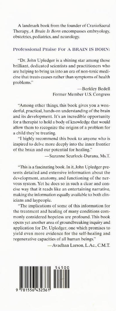 A Brain Is Born: Exploring the Birth and Development of the Central Nervous System