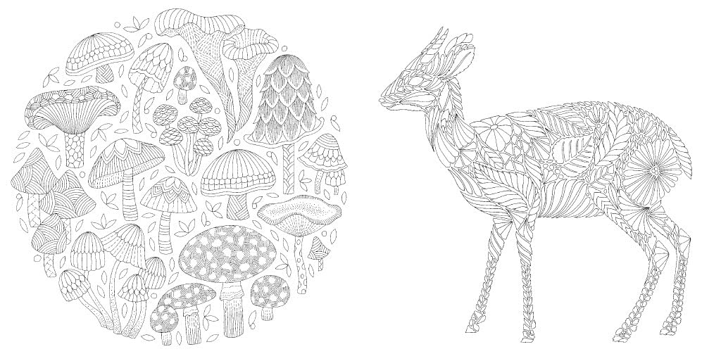 Millie Marotta's Woodland Wild: Pocket Colouring