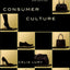 Consumer Culture: 2nd edition