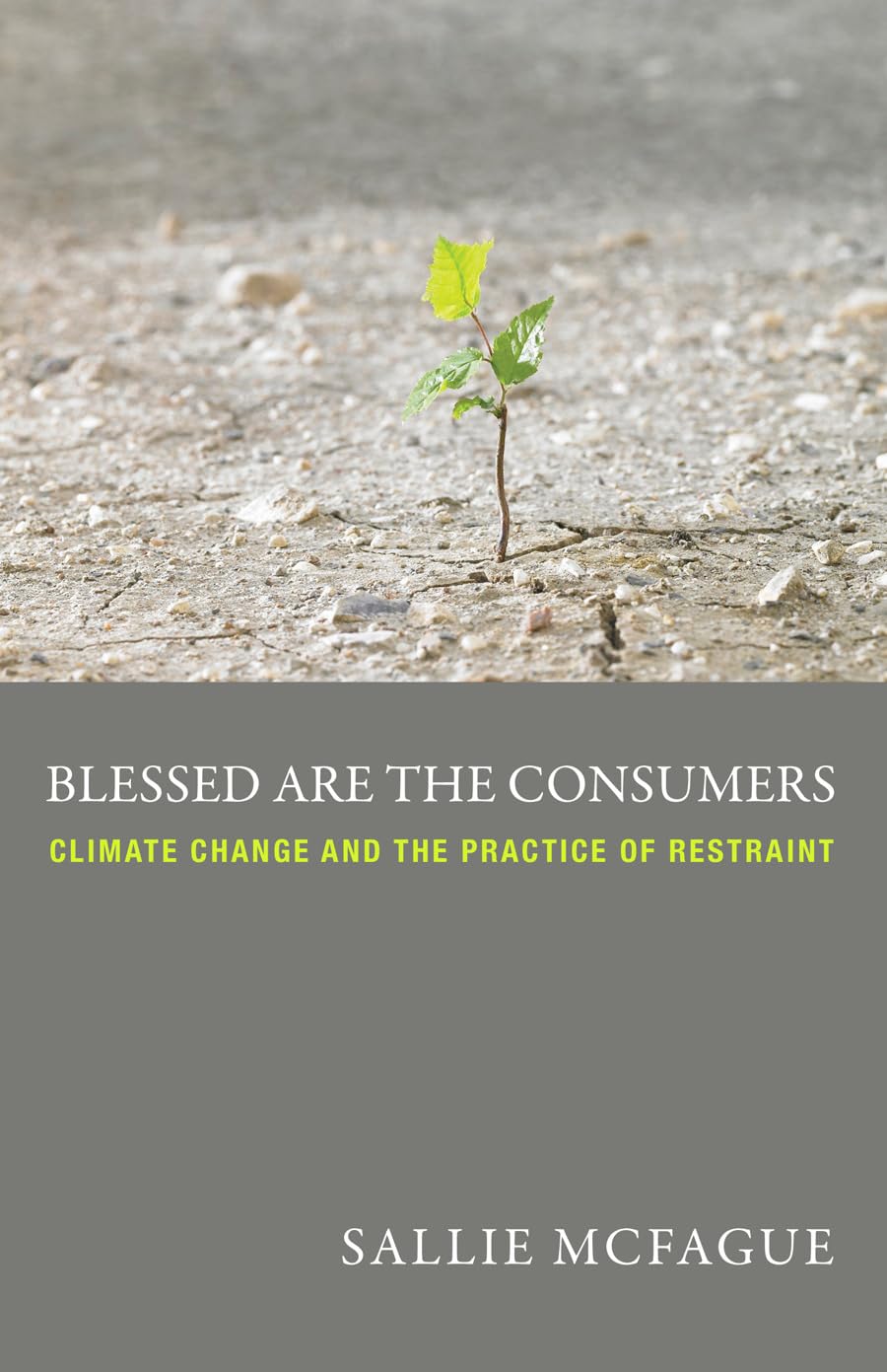 Blessed are the Consumers