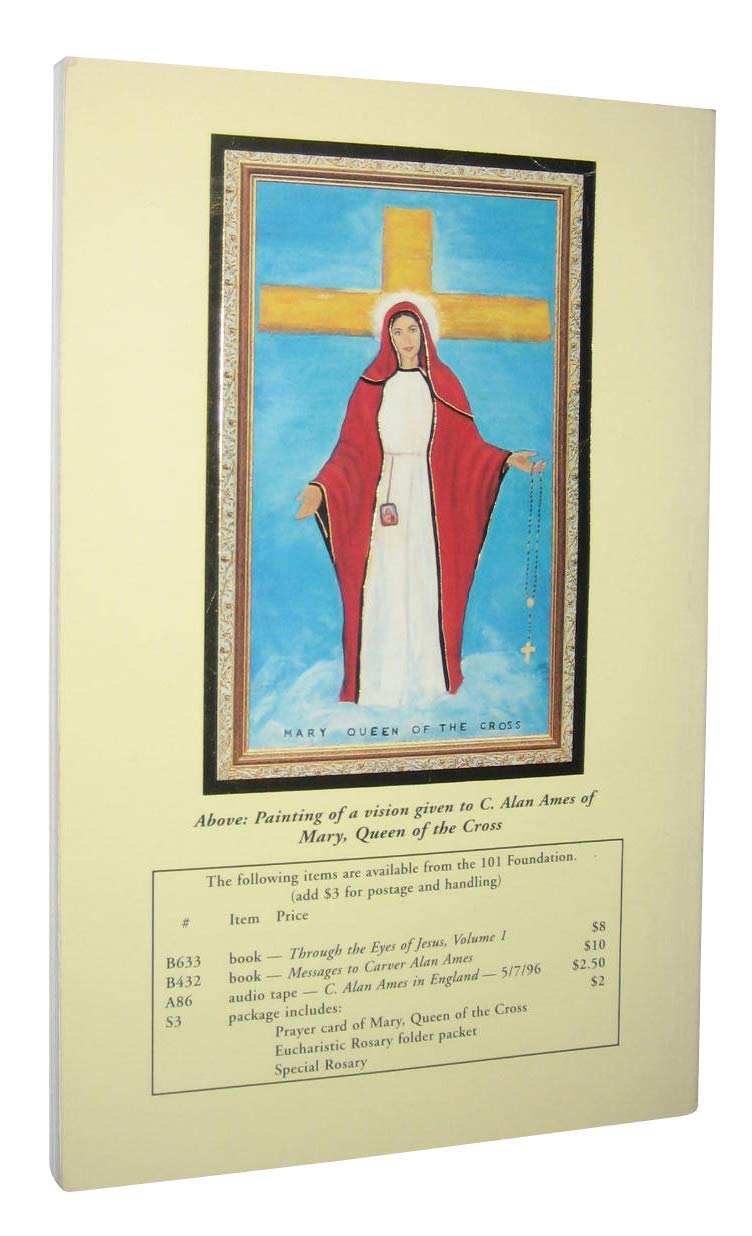 Through the Eyes of Jesus — back cover