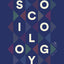 Introduction to Sociology: Seagull Edition