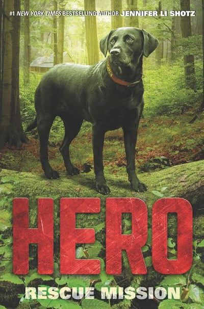 Hero: Rescue Mission (Hero, 3)