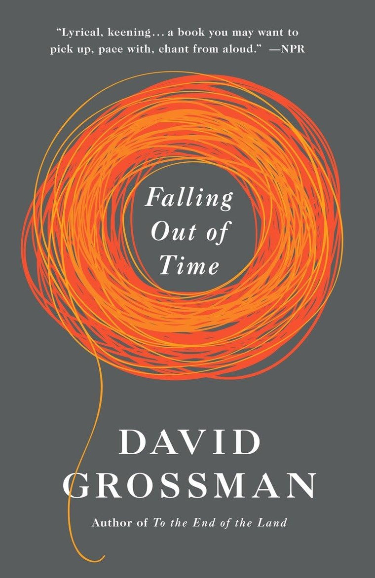 Falling Out of Time (Vintage International)