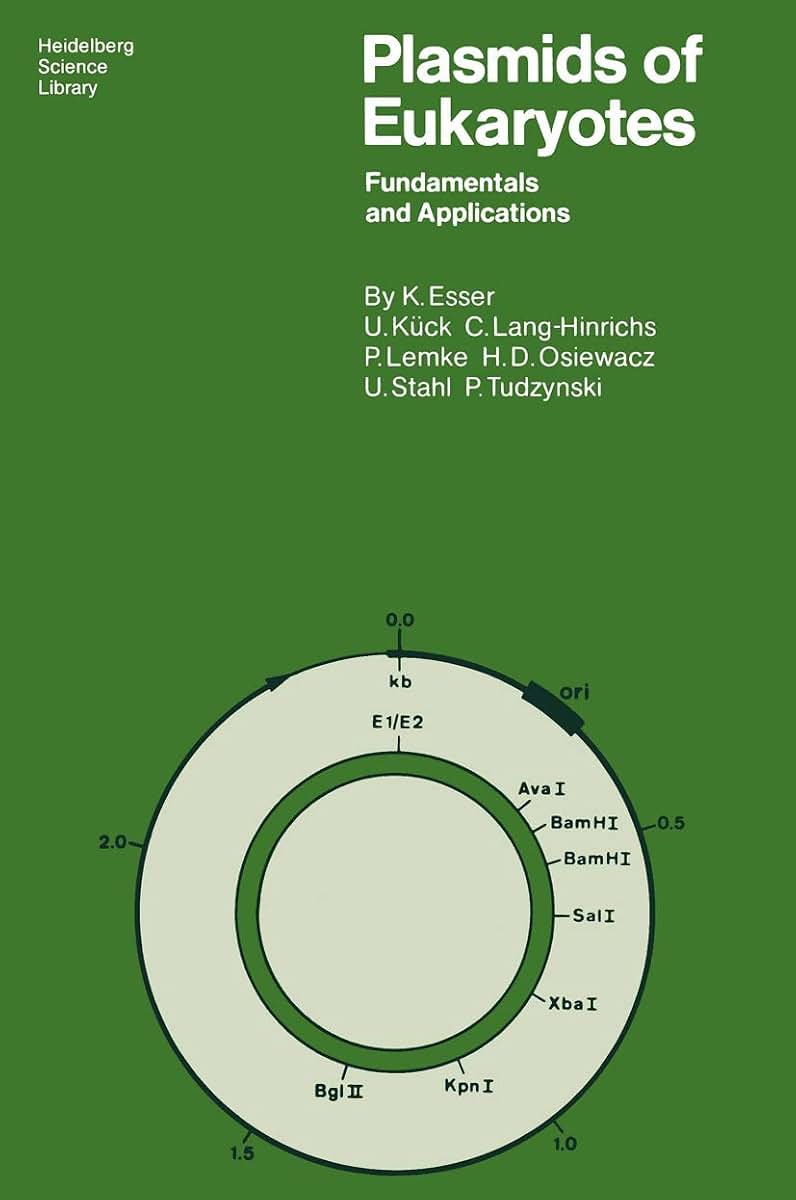 Plasmids of Eukaryotes: Fundamentals and Applications (Heidelberg Science Library)