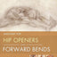 Yoga Mat Companion 2: Anatomy for Hip Openers and Forward Bends