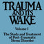 Trauma and Its Wake (Brunner Mazel Psychosocial Stress, No. 4)