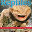 Reptiles: Open Your Eyes to a World of Discovery (Eye Wonder)