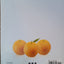 Algebra: A Combined Approach (4th Edition) (Martin-Gay Developmental Math Series)