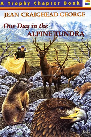 One Day in the Alpine Tundra