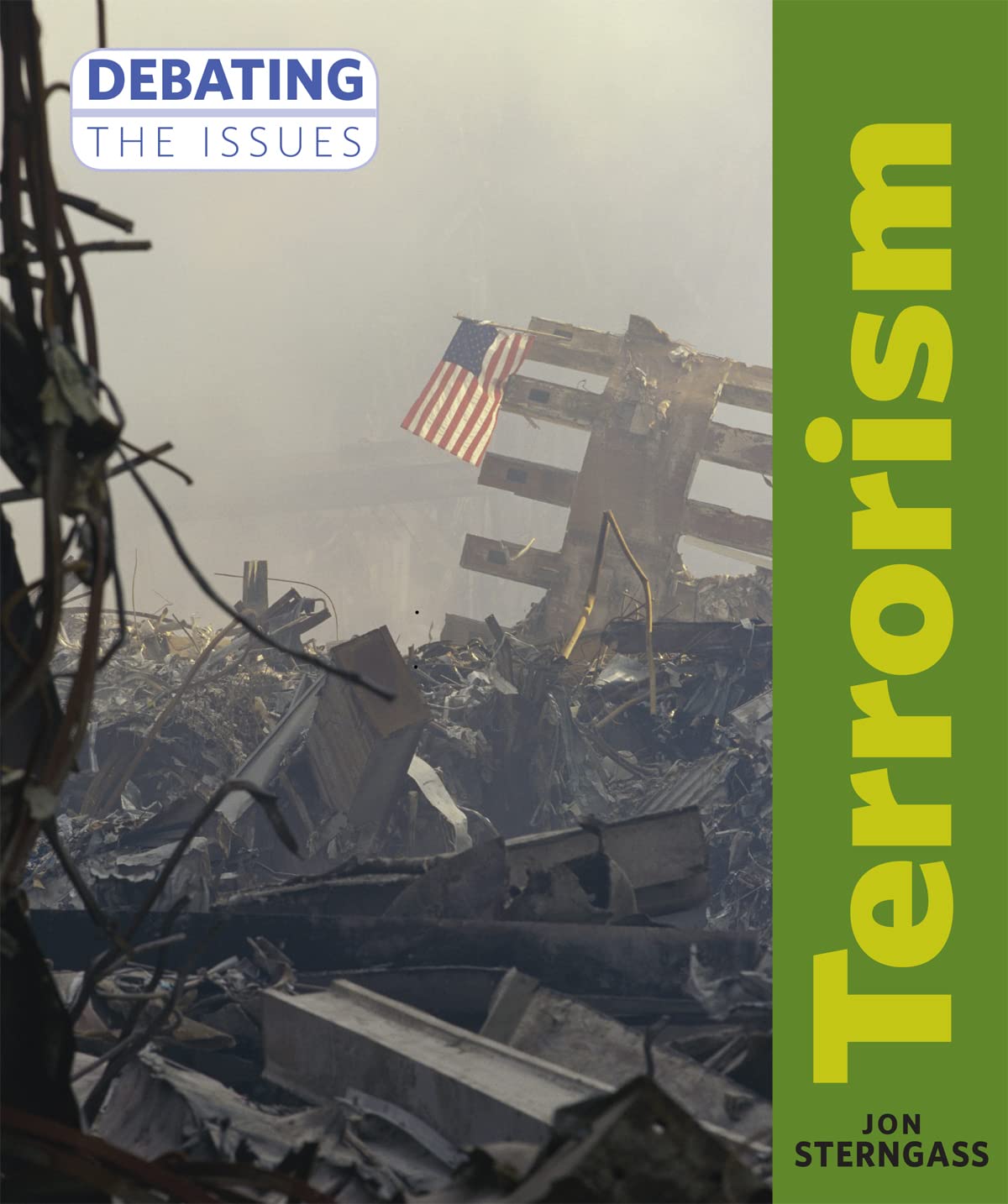 Terrorism (Debating the Issues)