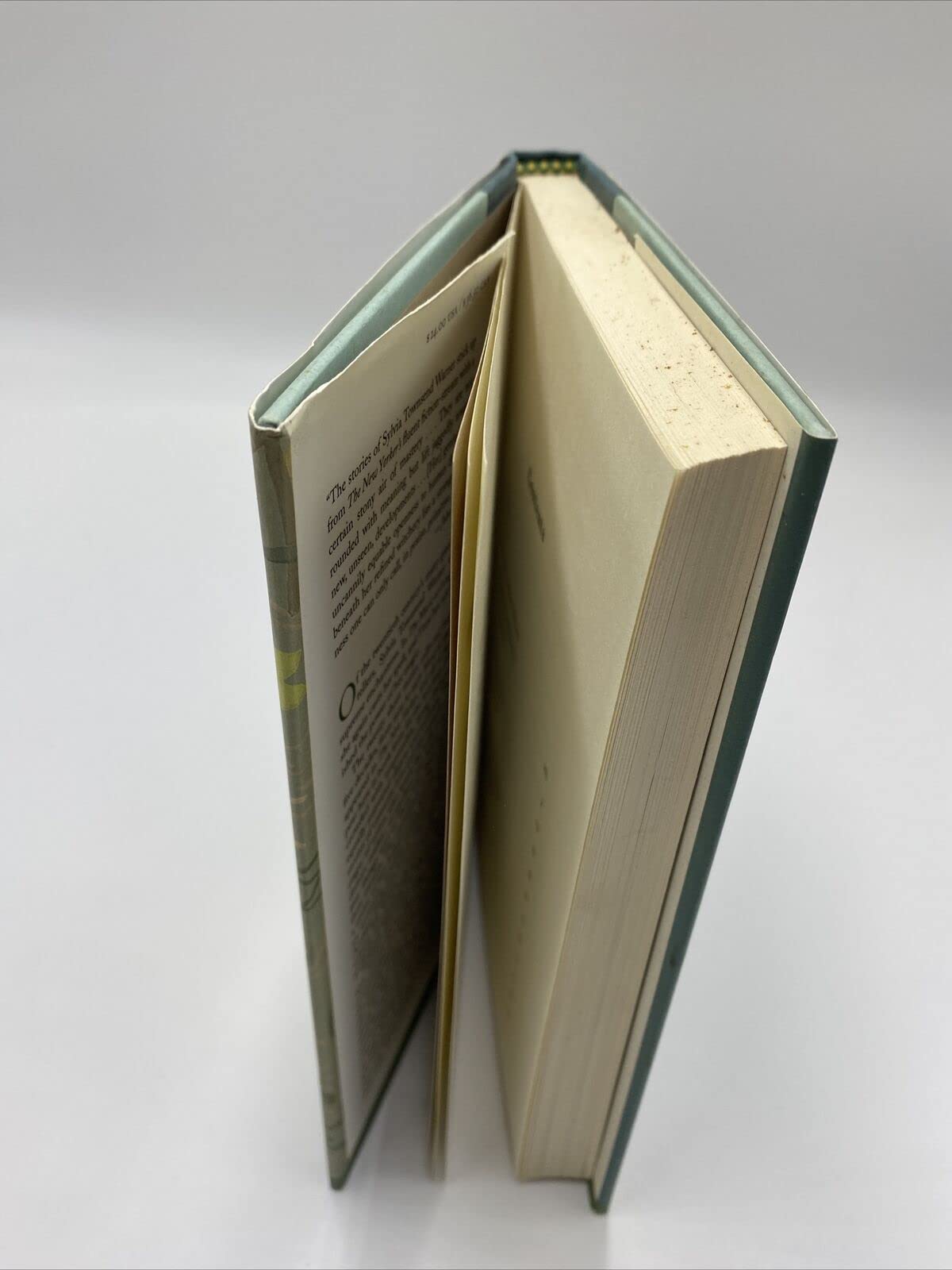 The Music at Long Verney: Short Stories