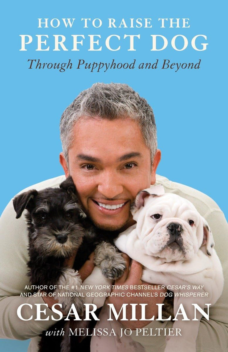 How to Raise the Perfect Dog: Through Puppyhood and Beyond b
