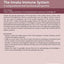 The Innate Immune System: A Compositional and Functional Perspective