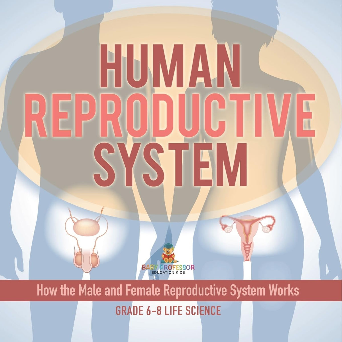 Human Reproductive System  How the Male and Female Reproductive System Works  Grade 6-8 Life Science