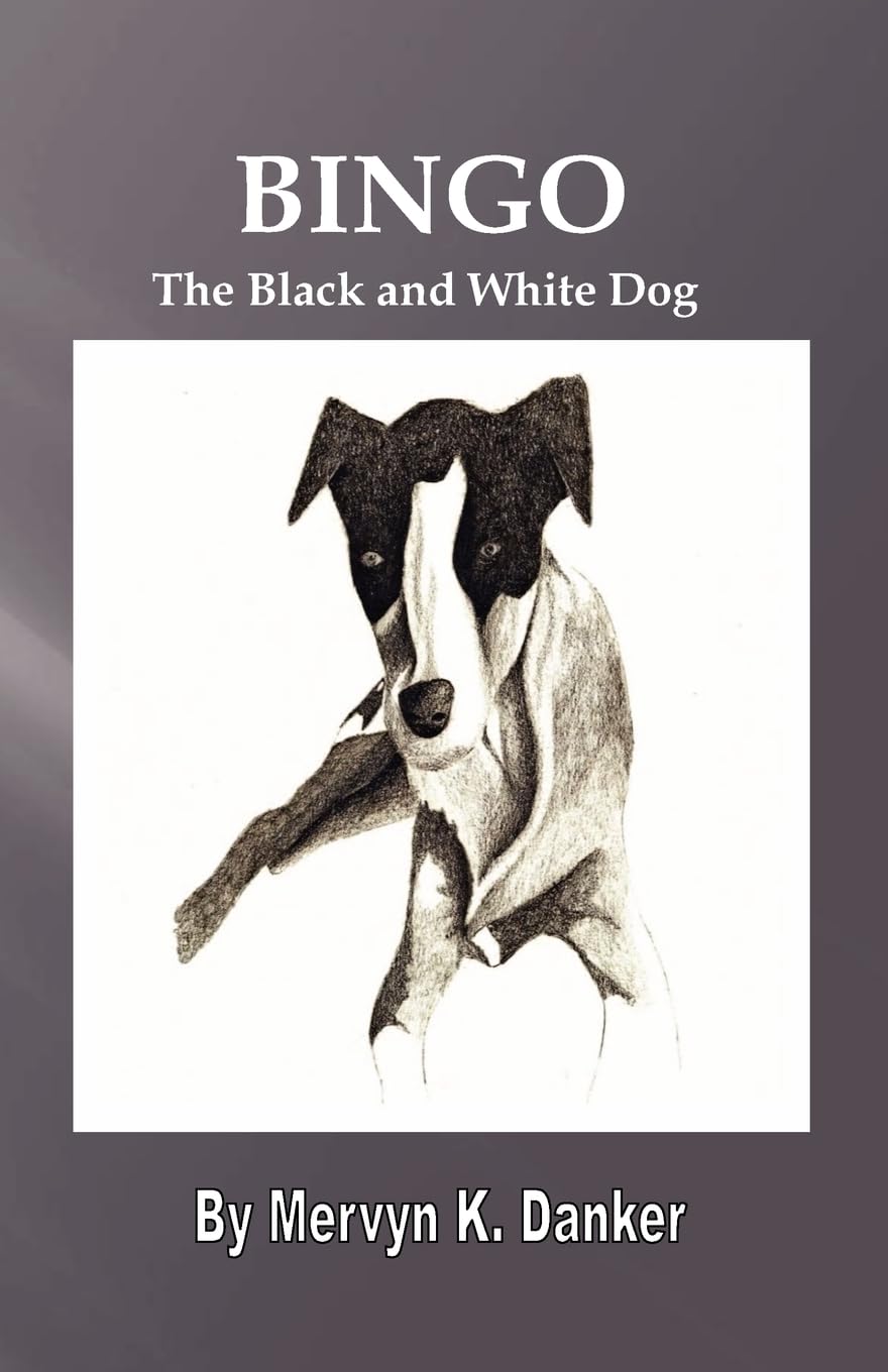 Bingo: The Black and White Dog